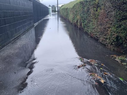 Gordon Road properties in Dunedin have been impacted by surface flooding.