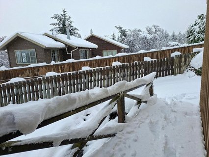 Helena Pattinson (who is
on holiday in Naseby and snowed in) says her two-year-old especially
loves watching the digger clearing the road.