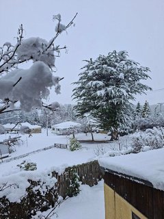 Snow in Naseby.
